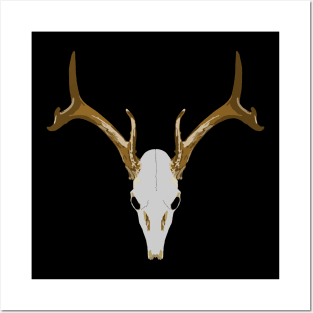 Buck Skull, Deer Skull Posters and Art